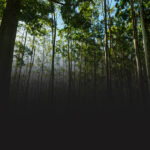 ABRAFE apresenta ao Ministério do Meio Ambiente e Mudança do Clima (MMA), contribuições ao Plano de Ação Nacional de Ar Limpo e Clima para a Redução dos Poluentes Climáticos de Vida Curta